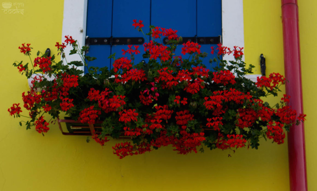 burano8