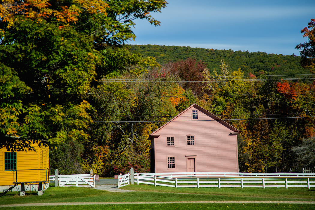 fall color 16