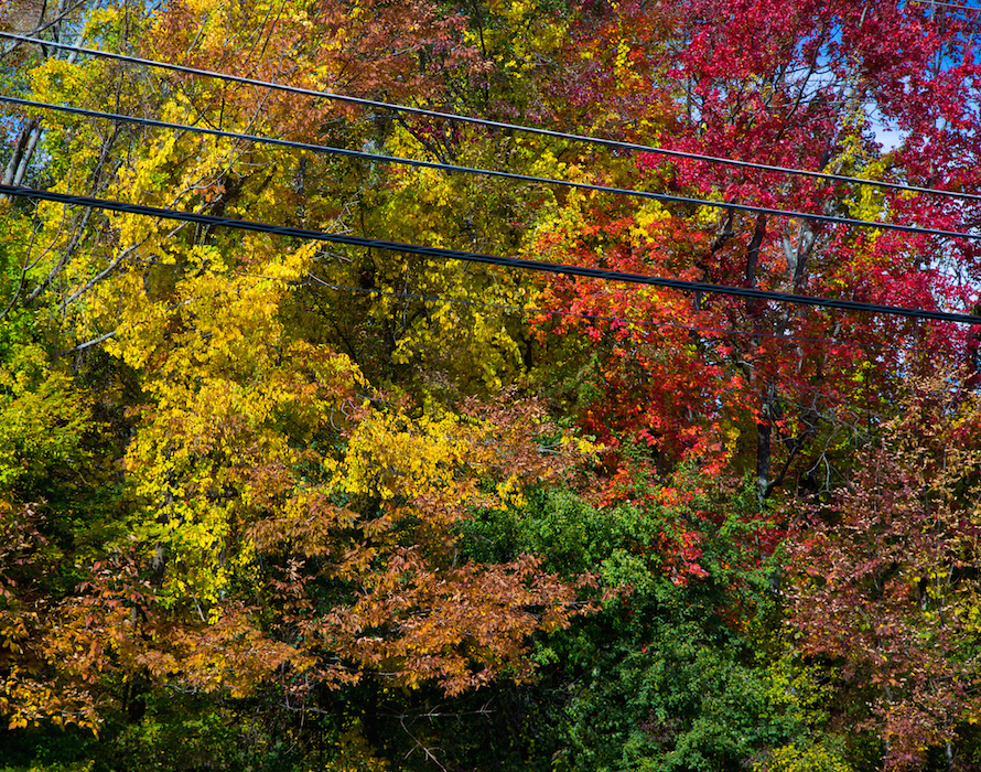 fall color 2