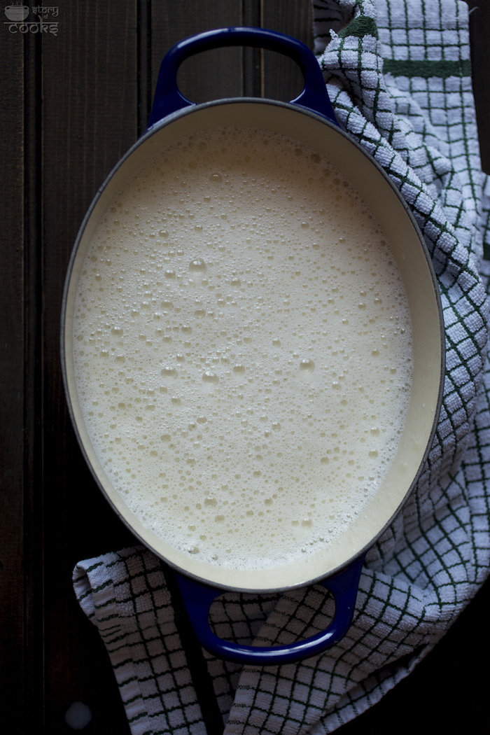 homemade yogurt before