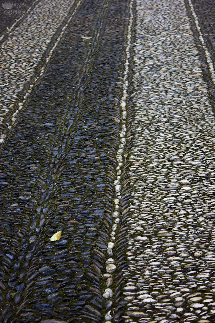 roads of mesquita