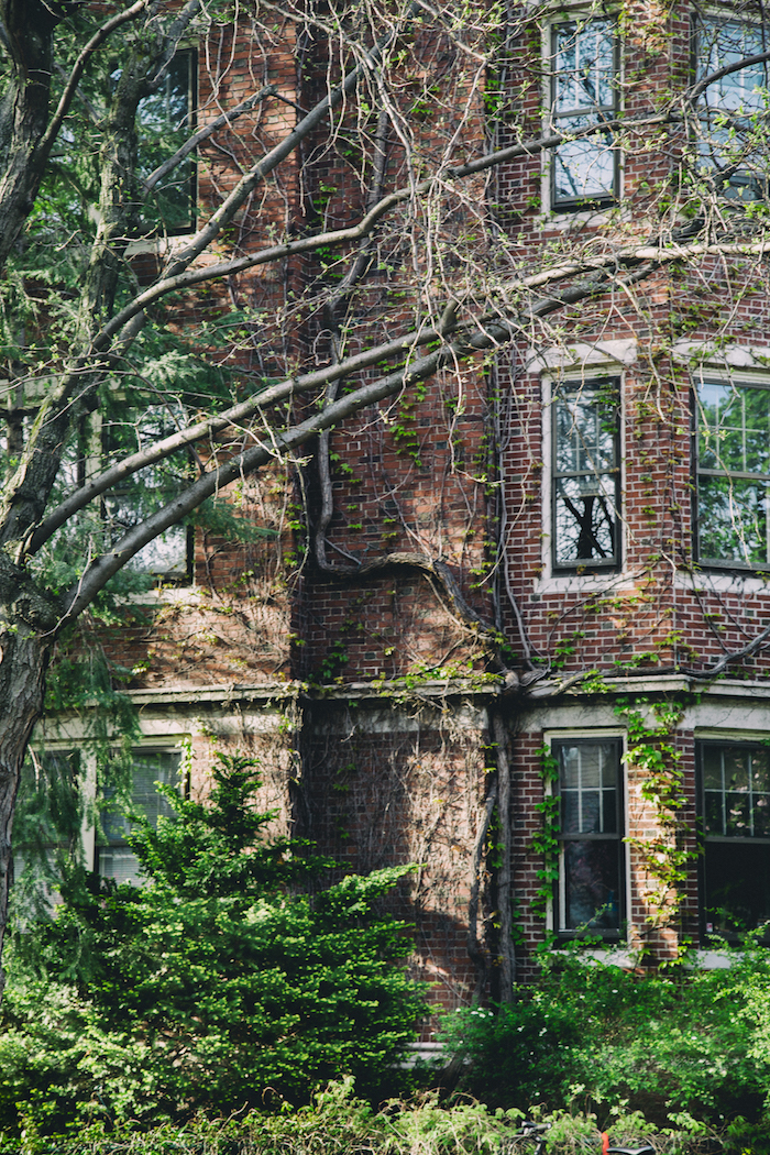 a very old house in cambridge