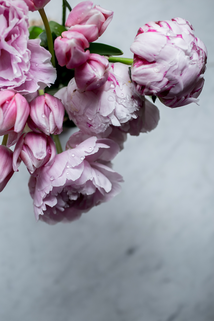 peonies on marble