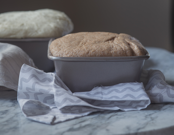 bread before oven