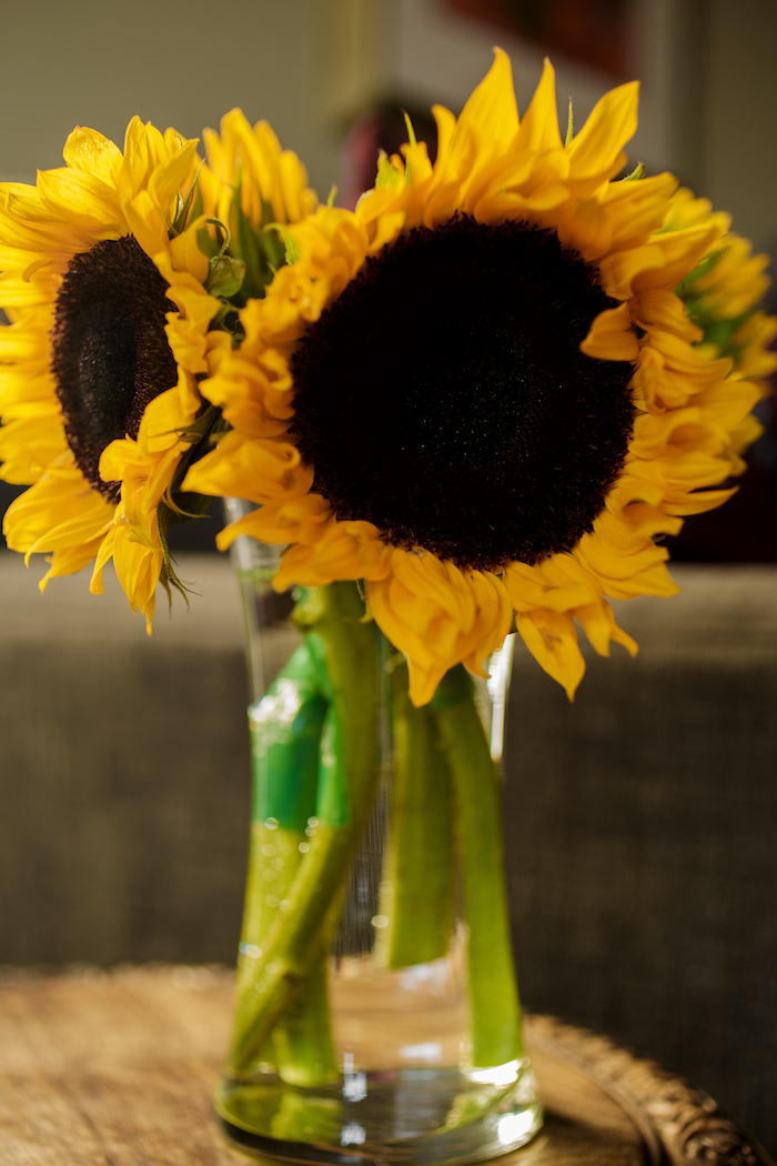 sunflowers