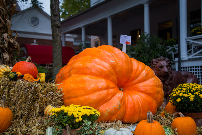 1000-pound-pumpkin