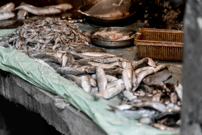 fish-market